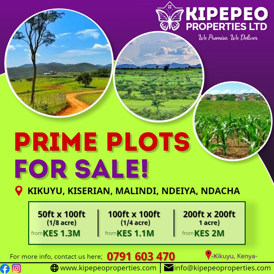 Prime properties by Kipepeo